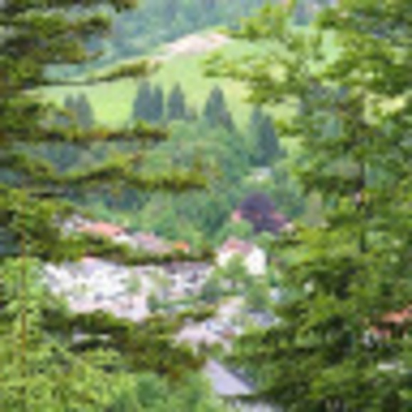 Meet your Posher, Sophie - Picture 1 of 1